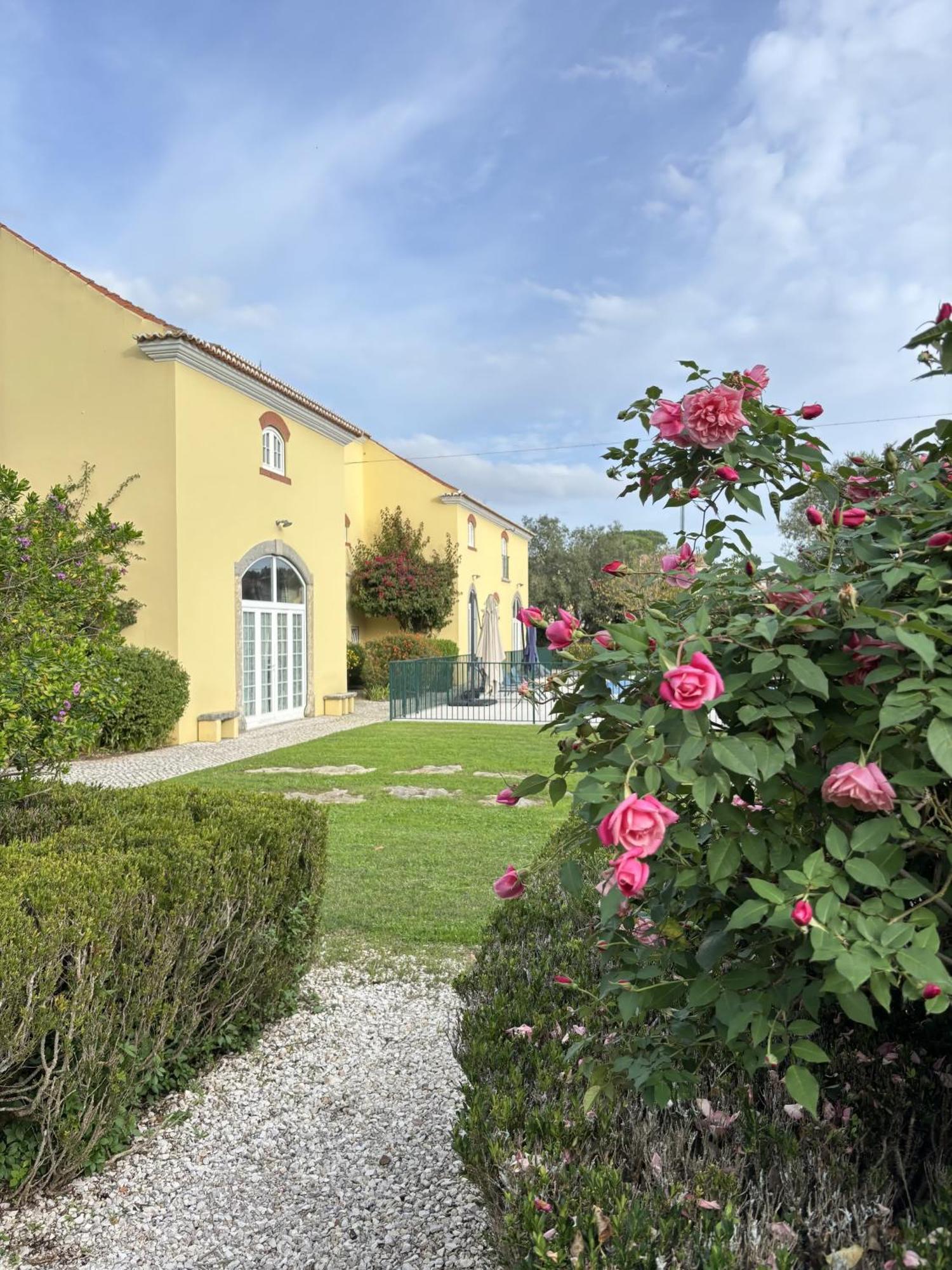 Quinta Do Scoto Bed & Breakfast Rinchoa Екстериор снимка