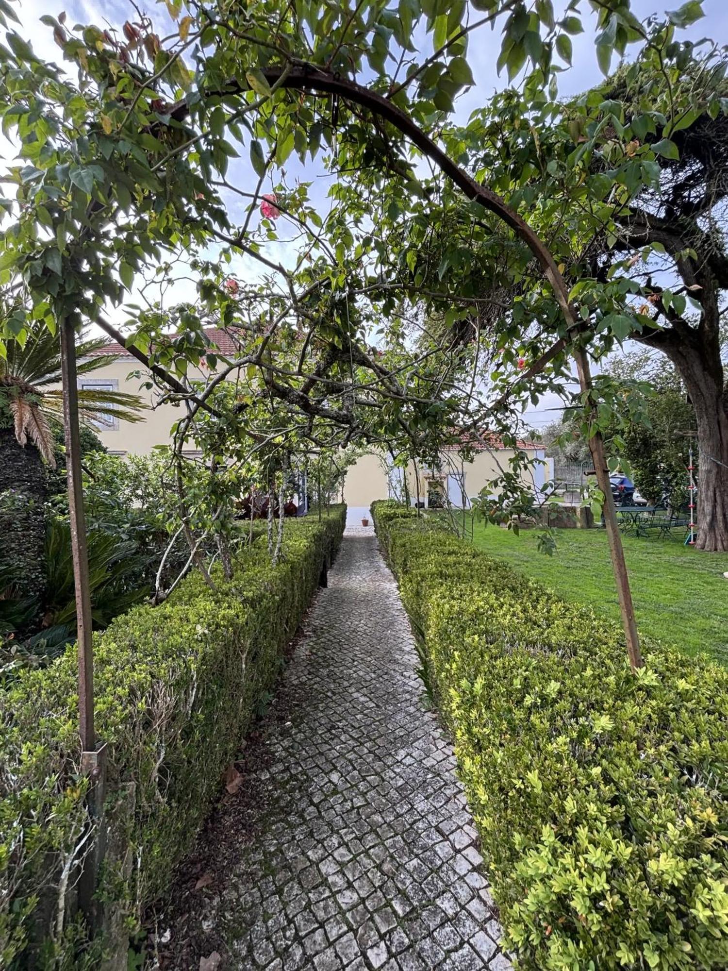 Quinta Do Scoto Bed & Breakfast Rinchoa Екстериор снимка