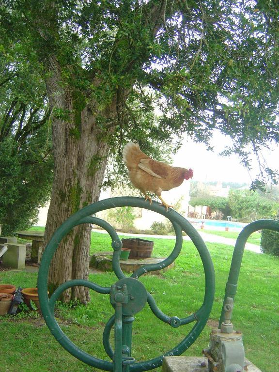 Quinta Do Scoto Bed & Breakfast Rinchoa Екстериор снимка